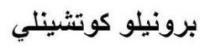 برونيلو كوتشينلي
