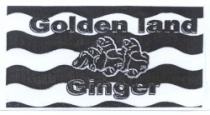 GOLDEN LAND GINGER - trademark of the United Arab Emirates 028333