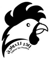 Zakher for Poultry زاخر للدواجن