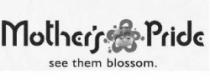 MOTHER`S PRIDE seethem blossom
