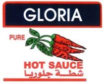 GLORIA PURE HOT SAUCE شطة جلوريا