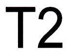 T2
