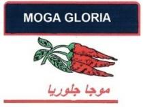 MOGA GLORIA PURE HOT SAUCE شطة جلوريا