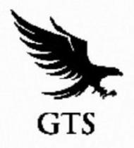 GTS