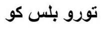 تورو بلس كو