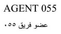 AGENT 055 عضو فريق055