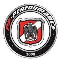 pp - performance 2008