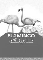 كلمة 