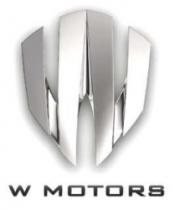 W MOTORS