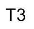 T3