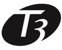 T3