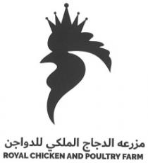 مزرعه الدجاج الملكي للدواجن Royal chicken farm for poultry