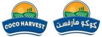 كوكو هارفست - COCO HARVEST
