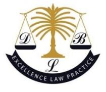 EXCELLENCE LAW PRACTICE DBL