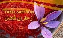 FAZEL SAFFRON - زعفران فاضل