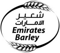 شعير الامارات - Emirates Barley