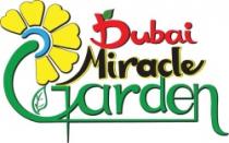 Dubai Miracle Garden