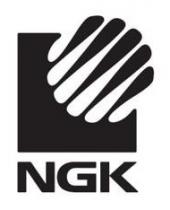 NGK / شكل