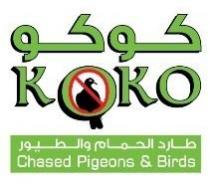 KOKO CHASED PIGEONS & BIRDS كوكو طارد الحمام والطيور