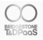 BRIDGESTONE T&DPaaS