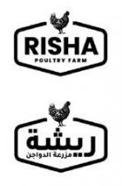 ريشة مزرعة الدواجن RISHA POULTRY FARM