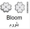 Bloom بلووم