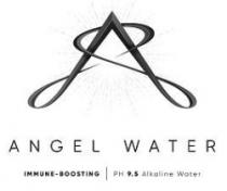 ANGEL WATER IMMUNE-BOOSTING PH 9.5 Alkaline Water