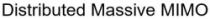 Distributed Massive MIMO