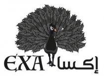 مع الشكل EXA -إكسا