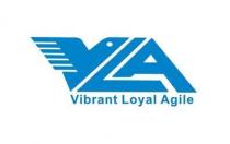 VLA Vibrant Loyal Agile