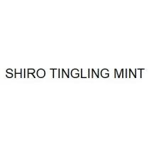 SHIRO TINGLING MINT