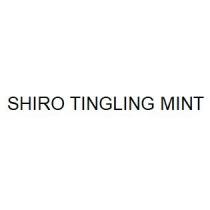 SHIRO TINGLING MINT