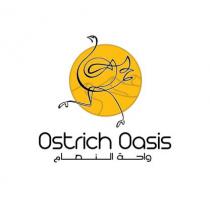 Ostrich Oasis واحة النعام