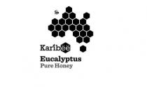 Karibee eucalyptus pure honey