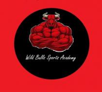 Wild Bulls Sports Academy