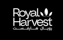 Royal Harvest رويال هارفست