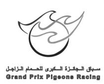 Grand Prix Pigeons Racing سباق الجائزة الكبرى للحمام الزاجل