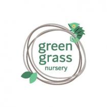 green grass nursery
