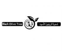 Black Olive Tree شجرة الزيتون الأسود