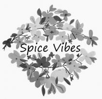 Spice Vibes