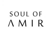 SOUL OF AMIR
