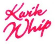 كى دى دى kwik whip KDD