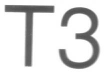 T3