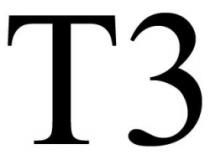 T3