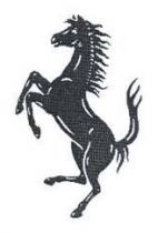 رسم لحصان أسود يثب على قائمتيه