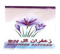 زعفران كل بيج GOLPEECH SAFFRON