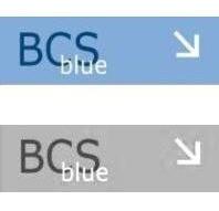 BCS BLUE