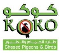 KOKO Chased Pigeons & Birds كوكو طارد الحمام والطيور