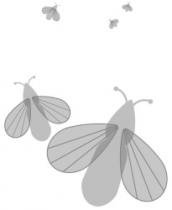 رسم كاريكاتوري مميز لخمس حشرات بأحجام مختلفة