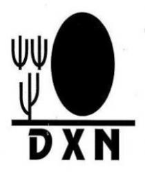 DXN